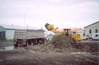 Clean-up of contaminated soils